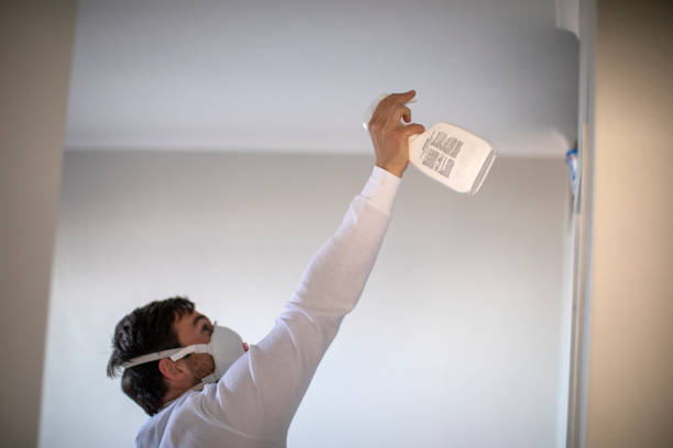 Professional Mold Remediation in Northlake, SC